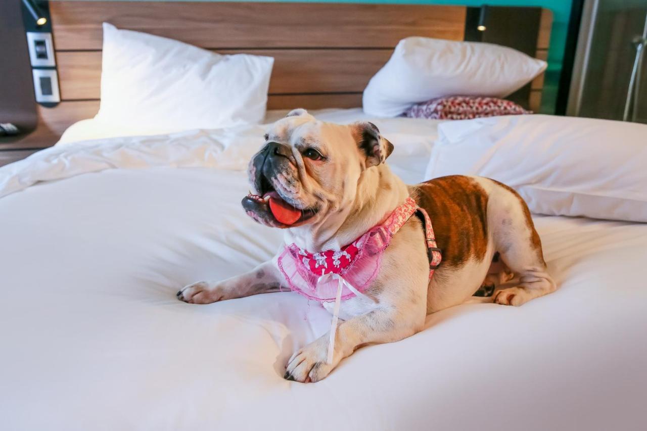 Novotel Sorocaba Zewnętrze zdjęcie